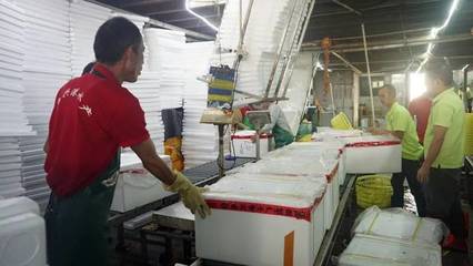 日配超70噸，九江魚興港以預制菜解鎖魚的百變吃法